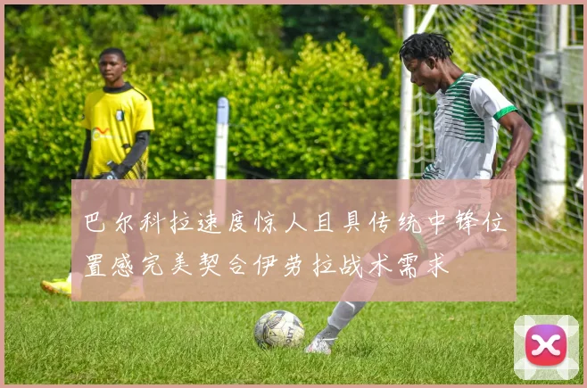 巴尔科拉速度惊人且具传统中锋位置感完美契合伊劳拉战术需求